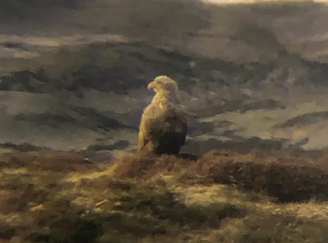 Finnoya With 180* Atlantic Veiw Finnoy