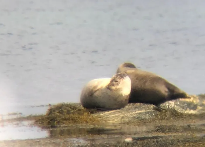 Дом отдыха Finnoya With 180* Atlantic Veiw Finnoy