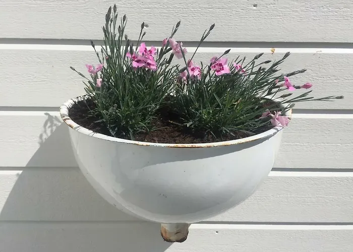 Finnoya With 180* Atlantic Veiw